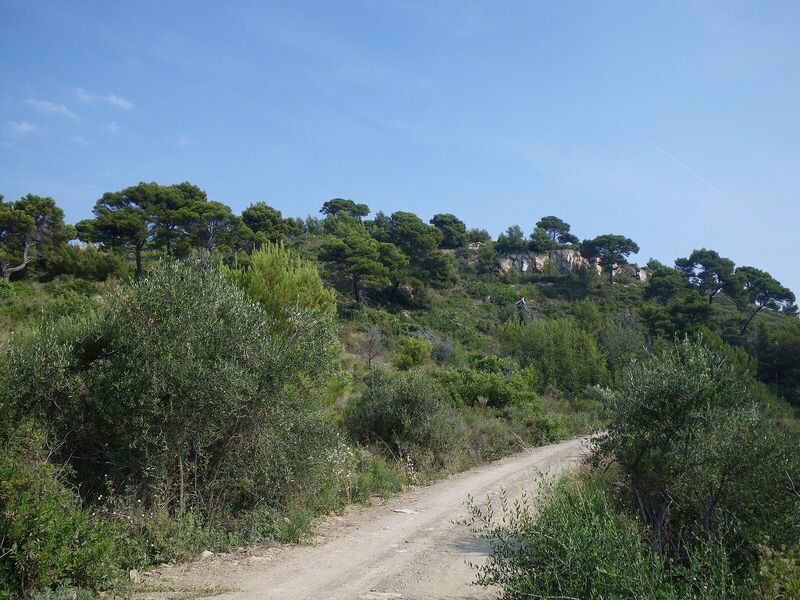 Fale - Capo Mimosa - 310709 - 1