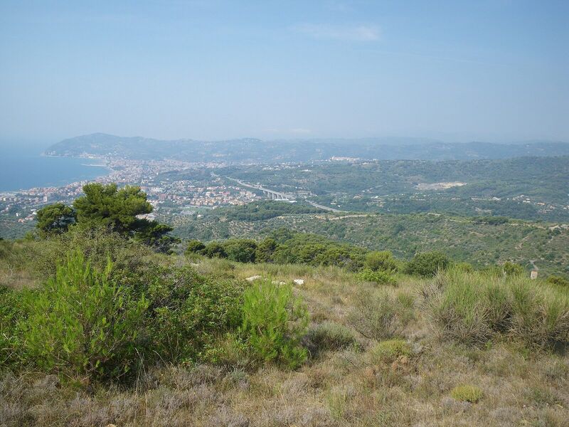 Fale - Capo Mimosa - 310709 - 13